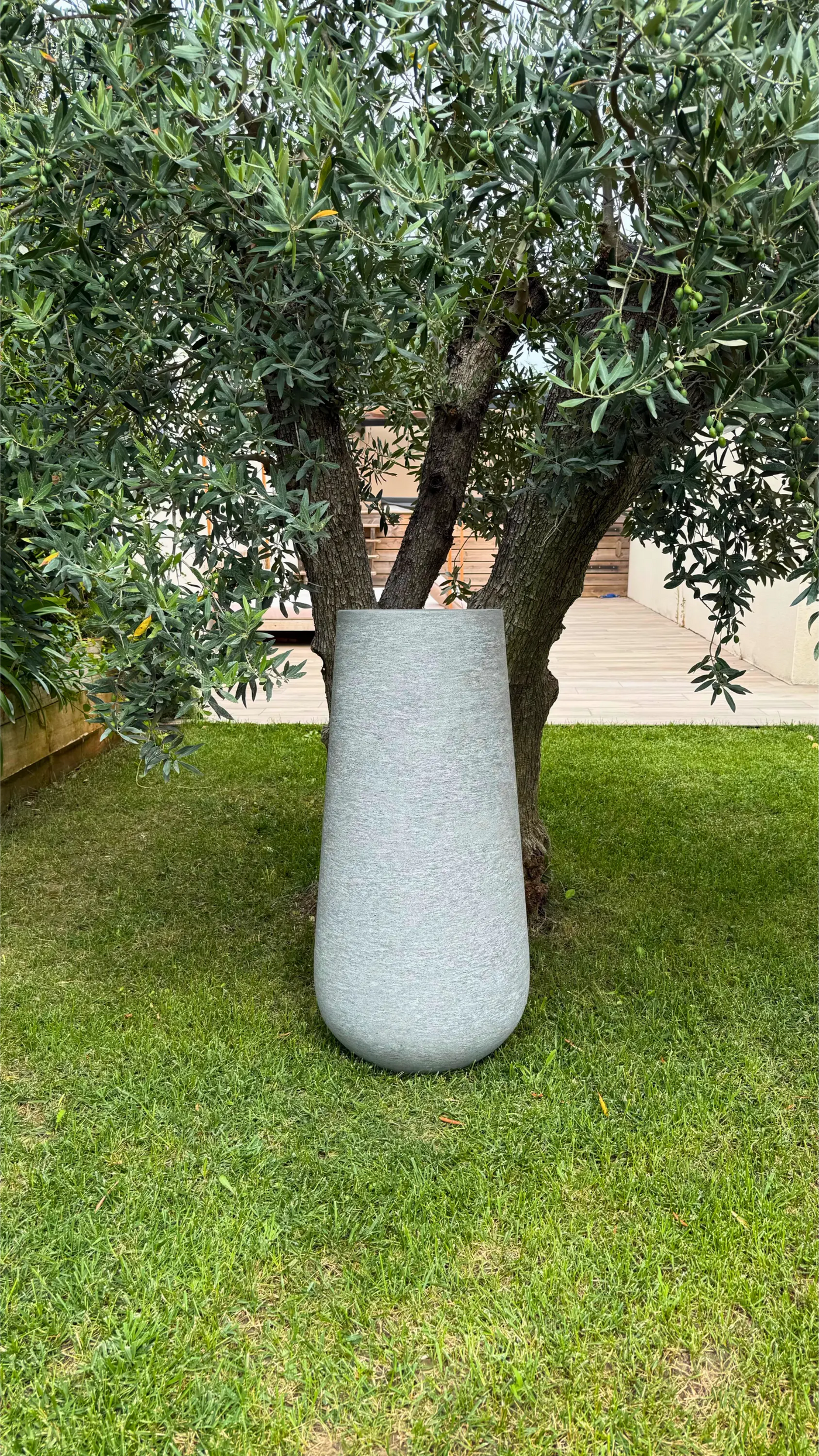 Insolazione Dolcezza Perla Vegetale
