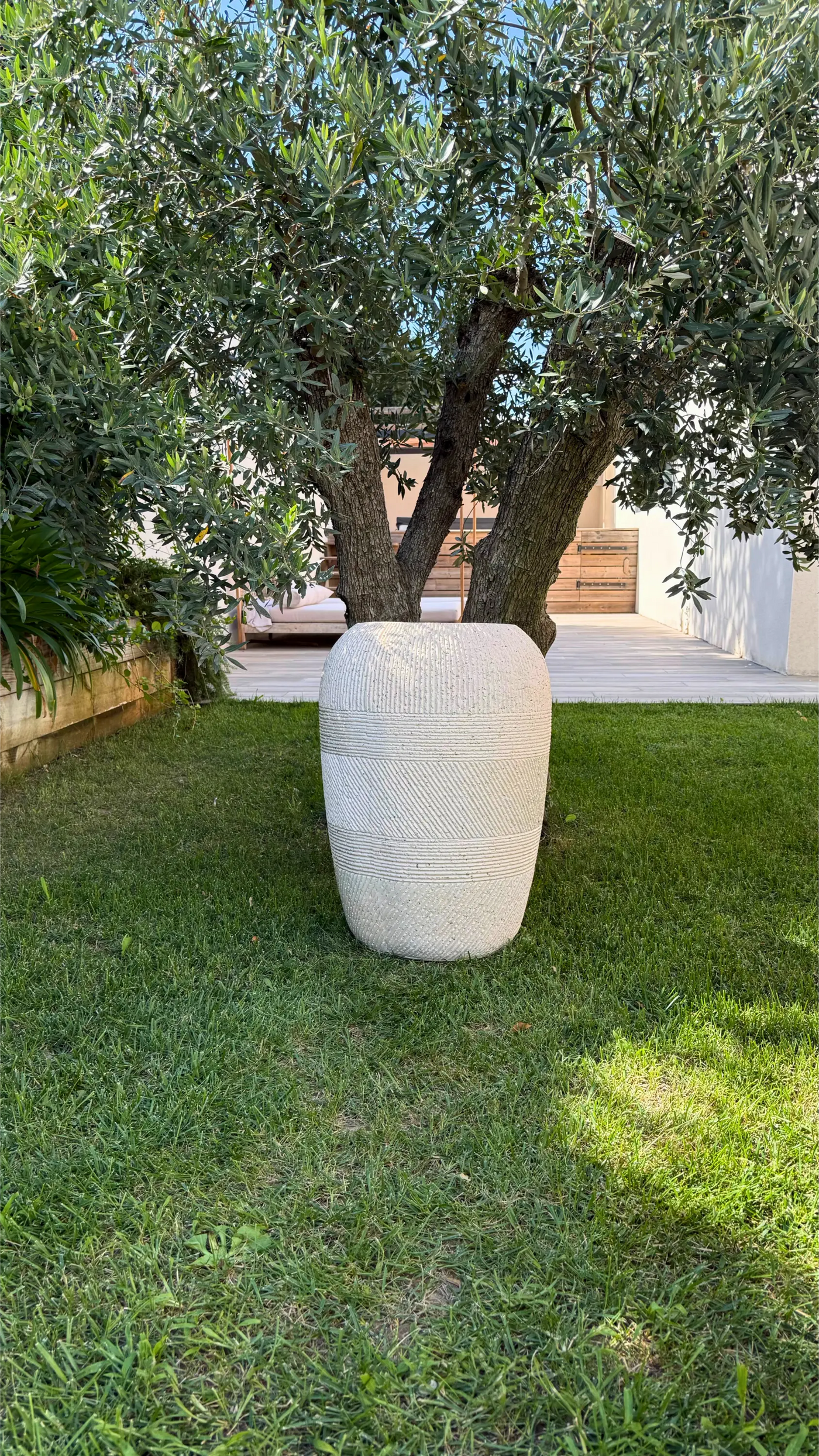 Insieme Pureté Blanche