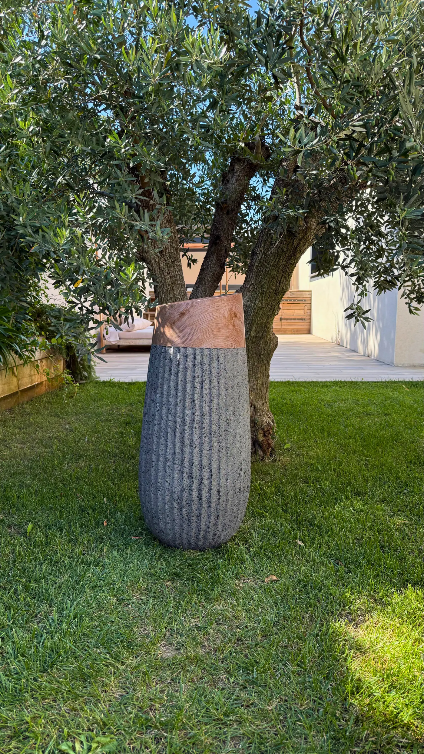 Ensemble Fusione Moderna