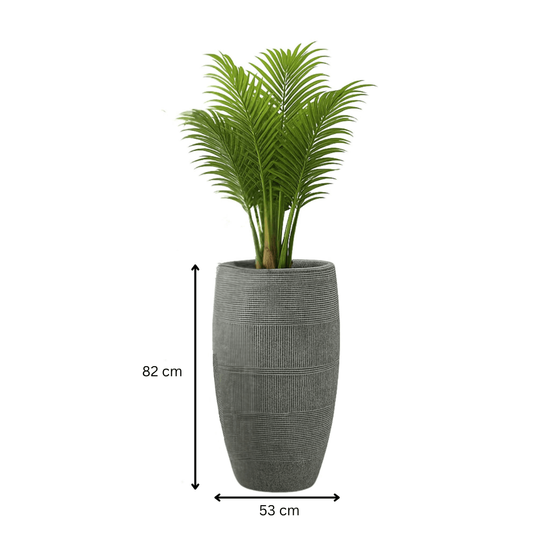 Ensemble Ombre Grise Tropicale