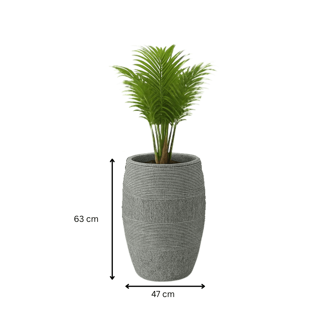 Ensemble Ombre Grise Tropicale